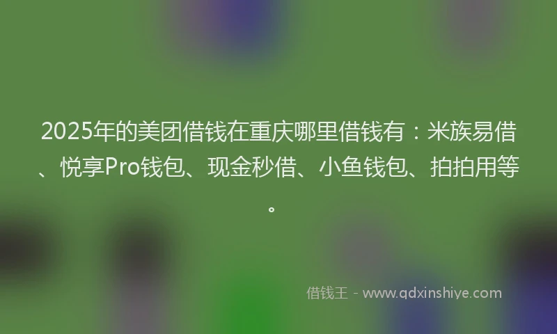 2025年的美团借钱在重庆哪里借钱有：米族易借、悦享Pro钱包、现金秒借、小鱼钱包、拍拍用等。
