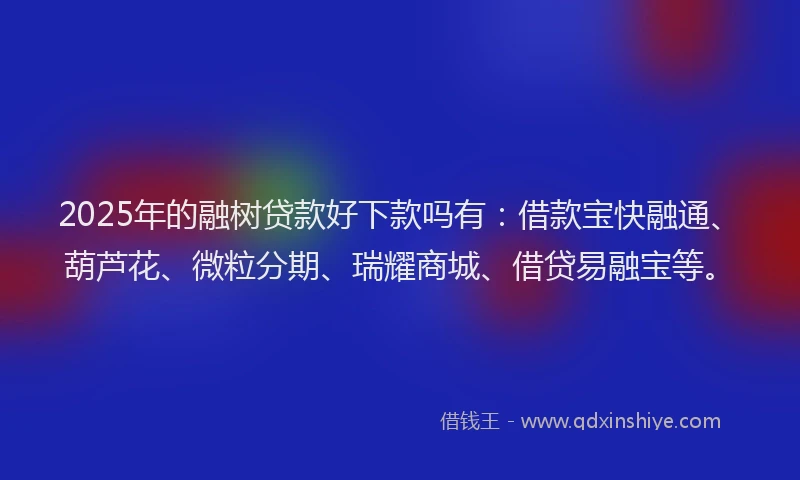 2025年的融树贷款好下款吗有：借款宝快融通、葫芦花、微粒分期、瑞耀商城、借贷易融宝等。