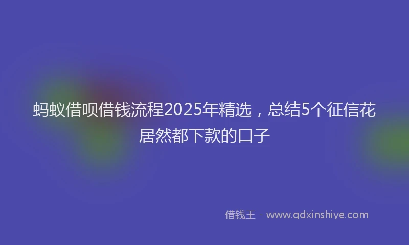 蚂蚁借呗借钱流程2025年精选，总结5个征信花居然都下款的口子