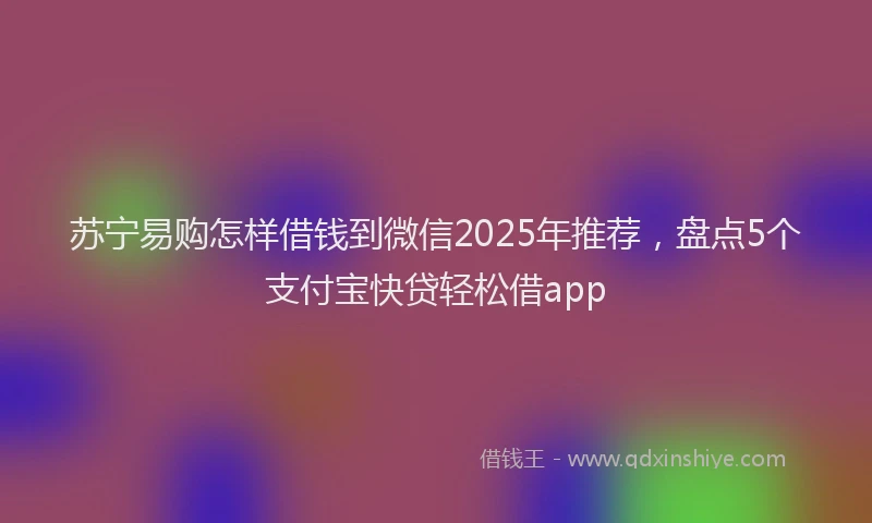 苏宁易购怎样借钱到微信2025年推荐，盘点5个支付宝快贷轻松借app