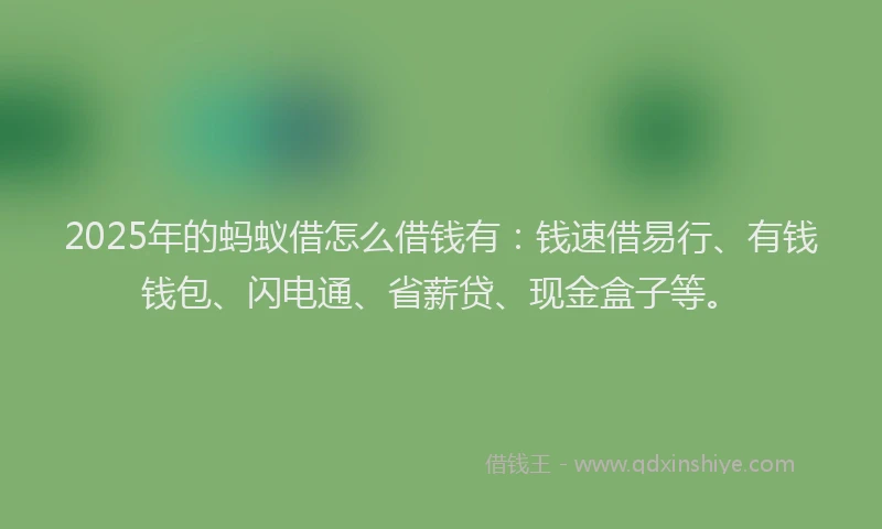 2025年的蚂蚁借怎么借钱有：钱速借易行、有钱钱包、闪电通、省薪贷、现金盒子等。