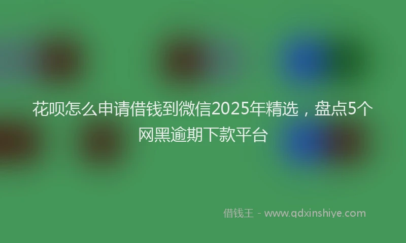 花呗怎么申请借钱到微信2025年精选，盘点5个网黑逾期下款平台