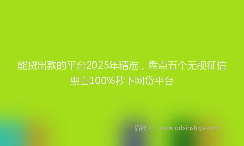 能贷出款的平台2025年精选，盘点五个无视征信黑白100%秒下网贷平台