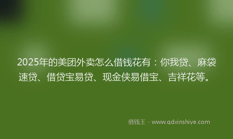 2025年的美团外卖怎么借钱花有：你我贷、麻袋速贷、借贷宝易贷、现金侠易借宝、吉祥花等。