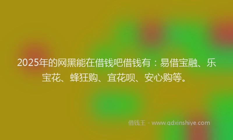 2025年的网黑能在借钱吧借钱有：易借宝融、乐宝花、蜂狂购、宜花呗、安心购等。