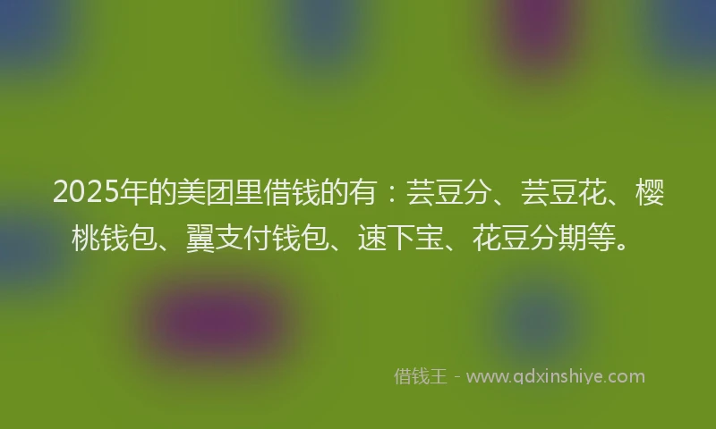 2025年的美团里借钱的有：芸豆分、芸豆花、樱桃钱包、翼支付钱包、速下宝、花豆分期等。