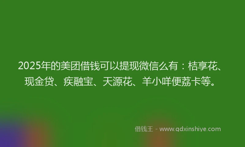 2025年的美团借钱可以提现微信么有：桔享花、现金贷、疾融宝、天源花、羊小咩便荔卡等。