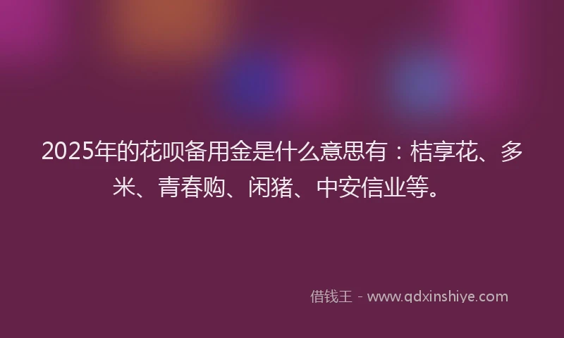 2025年的花呗备用金是什么意思有：桔享花、多米、青春购、闲猪、中安信业等。