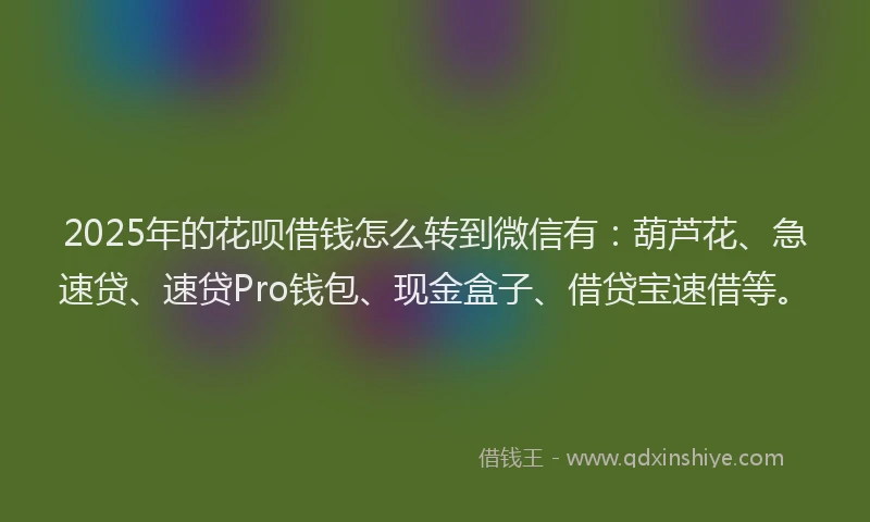 2025年的花呗借钱怎么转到微信有：葫芦花、急速贷、速贷Pro钱包、现金盒子、借贷宝速借等。