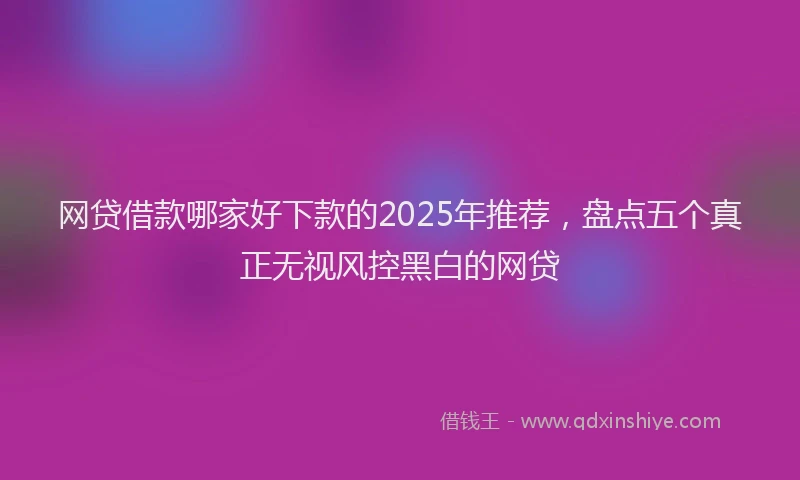 网贷借款哪家好下款的2025年推荐，盘点五个真正无视风控黑白的网贷