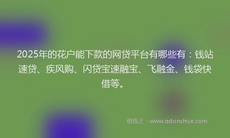 2025年的花户能下款的网贷平台有哪些有：钱站速贷、疾风购、闪贷宝速融宝、飞融金、钱袋快借等。