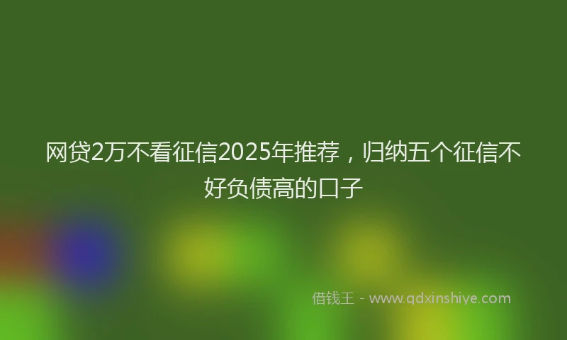 网贷2万不看征信2025年推荐，归纳五个征信不好负债高的口子