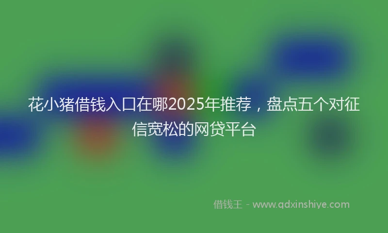 花小猪借钱入口在哪2025年推荐，盘点五个对征信宽松的网贷平台