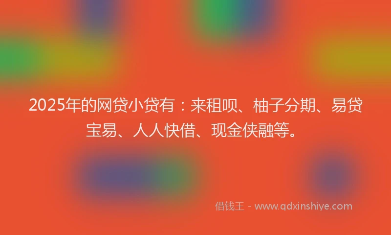 2025年的网贷小贷有：来租呗、柚子分期、易贷宝易、人人快借、现金侠融等。