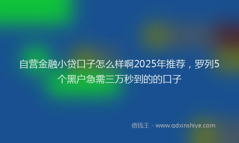 自营金融小贷口子怎么样啊2025年推荐，罗列5个黑户急需三万秒到的的口子