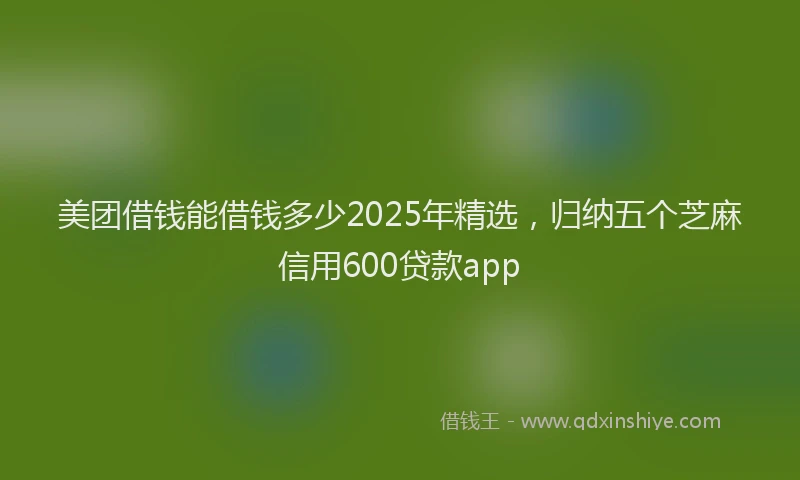 美团借钱能借钱多少2025年精选，归纳五个芝麻信用600贷款app