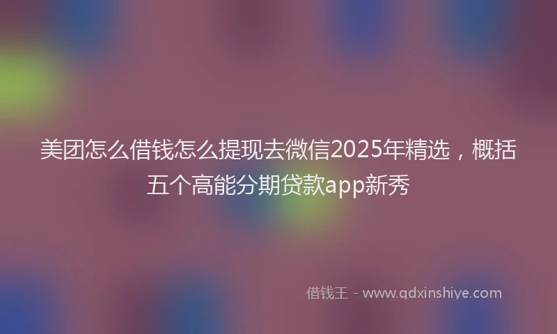 美团怎么借钱怎么提现去微信2025年精选，概括五个高能分期贷款app新秀