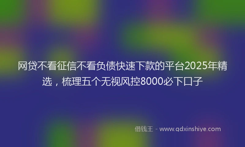 网贷不看征信不看负债快速下款的平台2025年精选，梳理五个无视风控8000必下口子
