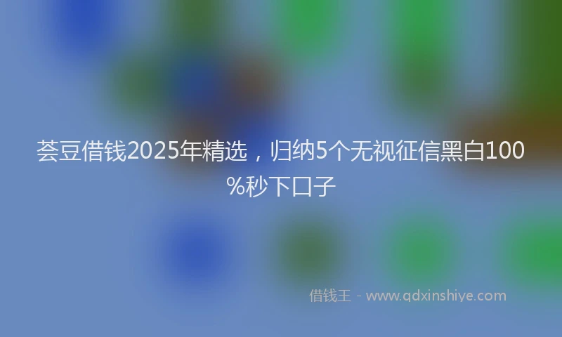荟豆借钱2025年精选，归纳5个无视征信黑白100%秒下口子