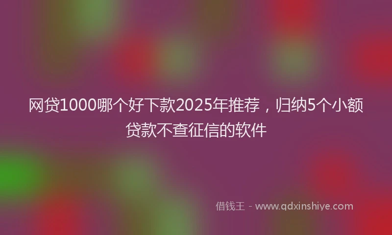 网贷1000哪个好下款2025年推荐，归纳5个小额贷款不查征信的软件