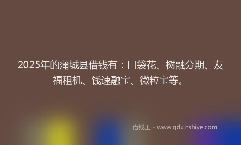 2025年的蒲城县借钱有：口袋花、树融分期、友福租机、钱速融宝、微粒宝等。