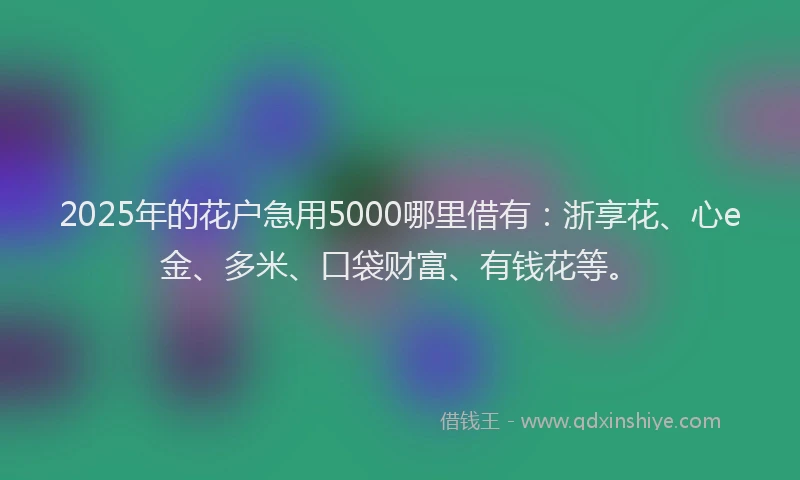 2025年的花户急用5000哪里借有：浙享花、心e金、多米、口袋财富、有钱花等。