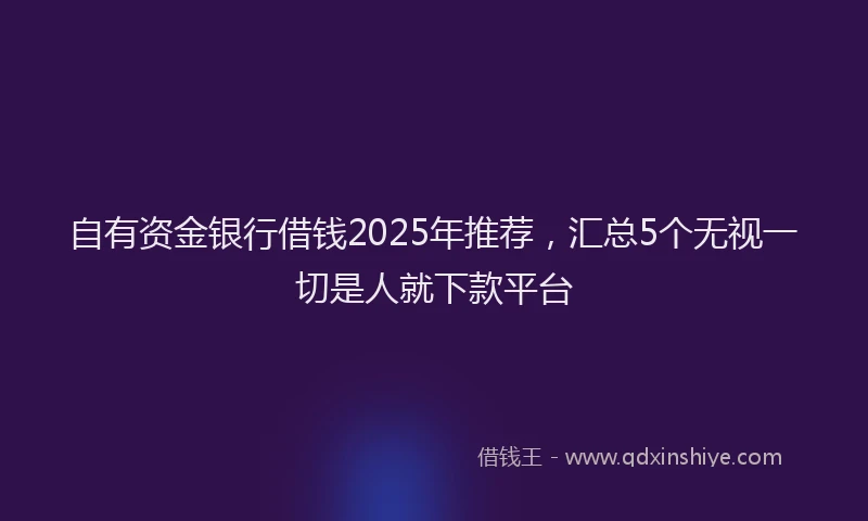 自有资金银行借钱2025年推荐，汇总5个无视一切是人就下款平台