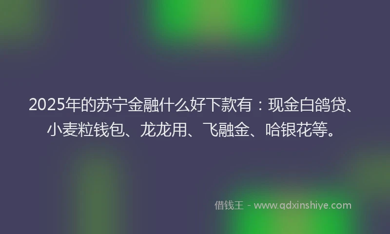 2025年的苏宁金融什么好下款有：现金白鸽贷、小麦粒钱包、龙龙用、飞融金、哈银花等。