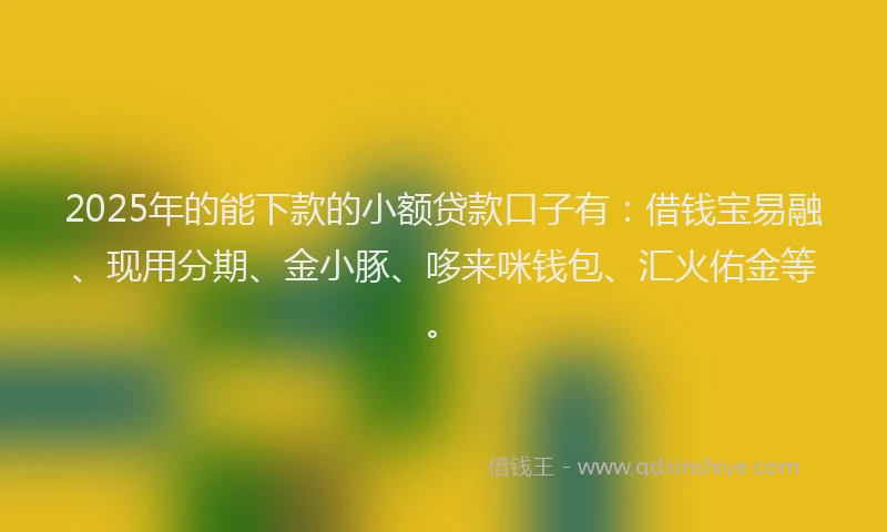 2025年的能下款的小额贷款口子有：借钱宝易融、现用分期、金小豚、哆来咪钱包、汇火佑金等。
