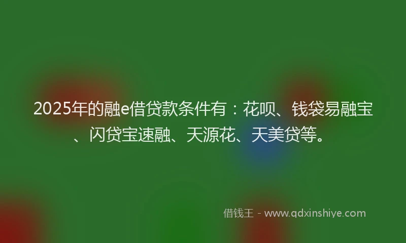 2025年的融e借贷款条件有：花呗、钱袋易融宝、闪贷宝速融、天源花、天美贷等。