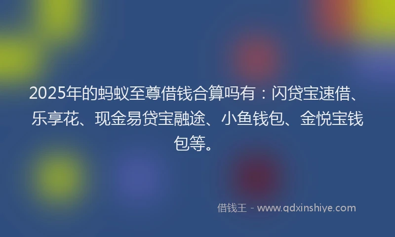 2025年的蚂蚁至尊借钱合算吗有：闪贷宝速借、乐享花、现金易贷宝融途、小鱼钱包、金悦宝钱包等。