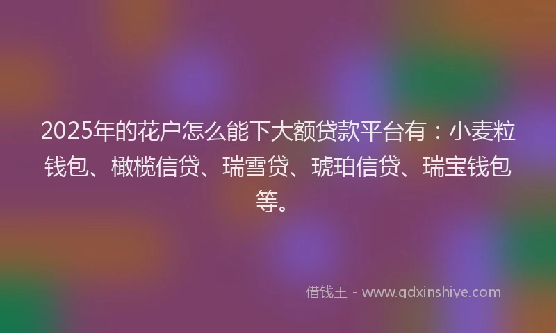 2025年的花户怎么能下大额贷款平台有：小麦粒钱包、橄榄信贷、瑞雪贷、琥珀信贷、瑞宝钱包等。