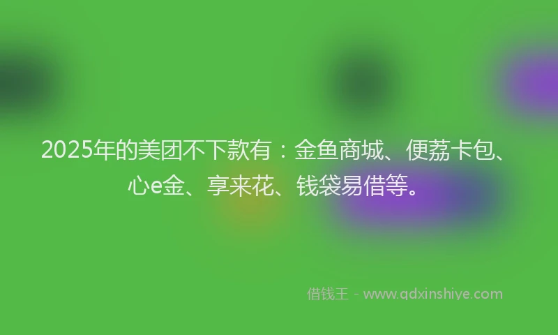 2025年的美团不下款有：金鱼商城、便荔卡包、心e金、享来花、钱袋易借等。