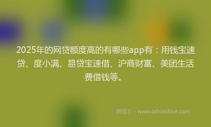 2025年的网贷额度高的有哪些app有：用钱宝速贷、度小满、易贷宝速借、沪商财富、美团生活费借钱等。