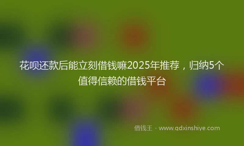 花呗还款后能立刻借钱嘛2025年推荐，归纳5个值得信赖的借钱平台