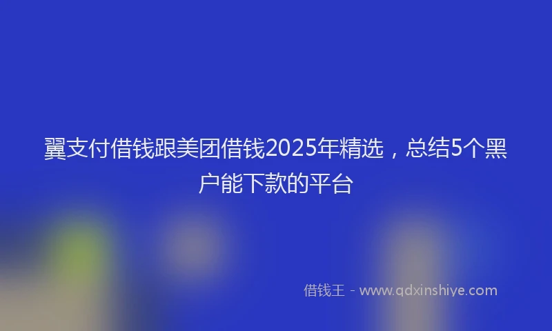 翼支付借钱跟美团借钱2025年精选，总结5个黑户能下款的平台