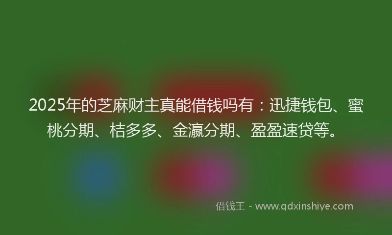 2025年的芝麻财主真能借钱吗有：迅捷钱包、蜜桃分期、桔多多、金瀛分期、盈盈速贷等。