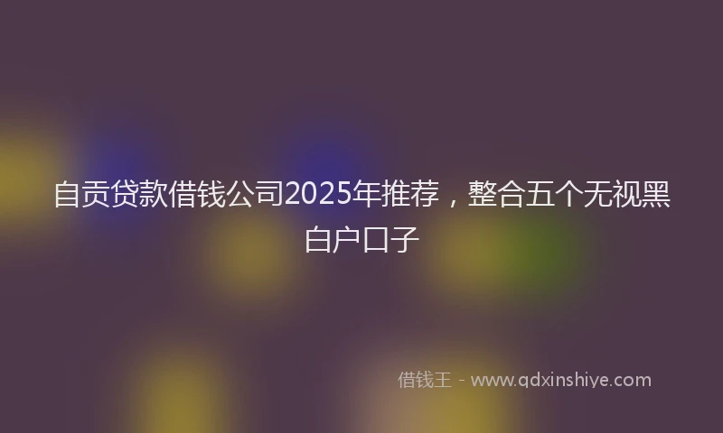 自贡贷款借钱公司2025年推荐，整合五个无视黑白户口子