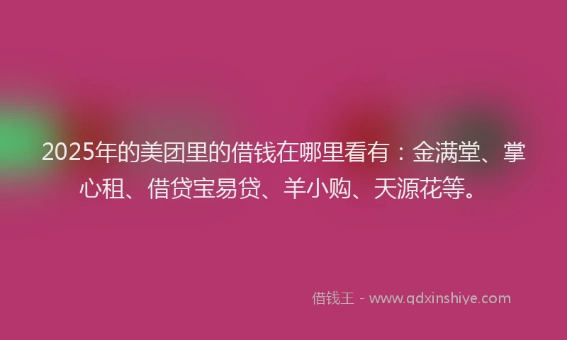 2025年的美团里的借钱在哪里看有：金满堂、掌心租、借贷宝易贷、羊小购、天源花等。