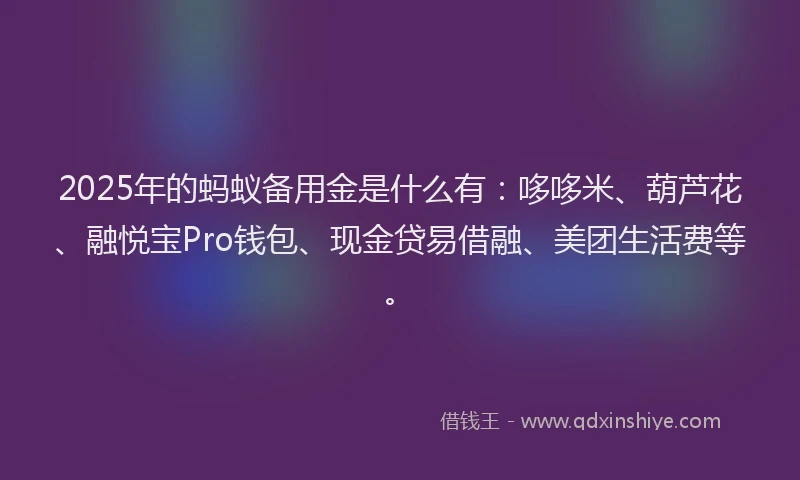 2025年的蚂蚁备用金是什么有：哆哆米、葫芦花、融悦宝Pro钱包、现金贷易借融、美团生活费等。