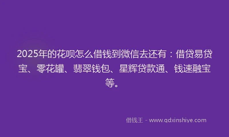 2025年的花呗怎么借钱到微信去还有：借贷易贷宝、零花罐、翡翠钱包、星辉贷款通、钱速融宝等。