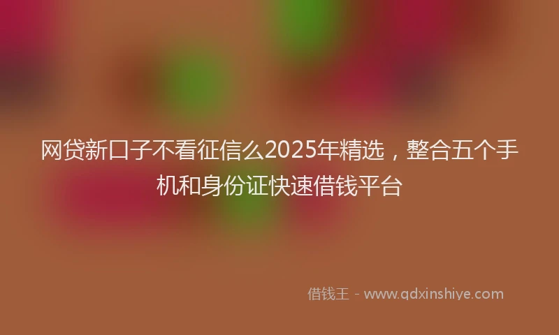 网贷新口子不看征信么2025年精选，整合五个手机和身份证快速借钱平台