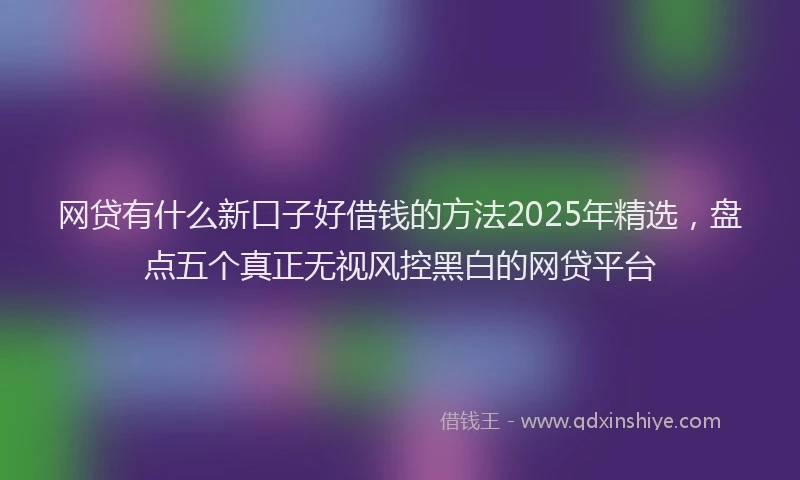 网贷有什么新口子好借钱的方法2025年精选，盘点五个真正无视风控黑白的网贷平台