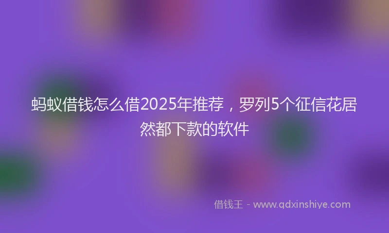 蚂蚁借钱怎么借2025年推荐，罗列5个征信花居然都下款的软件