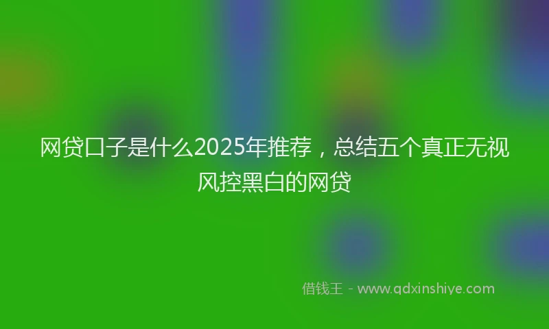 网贷口子是什么2025年推荐，总结五个真正无视风控黑白的网贷