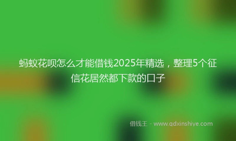 蚂蚁花呗怎么才能借钱2025年精选，整理5个征信花居然都下款的口子