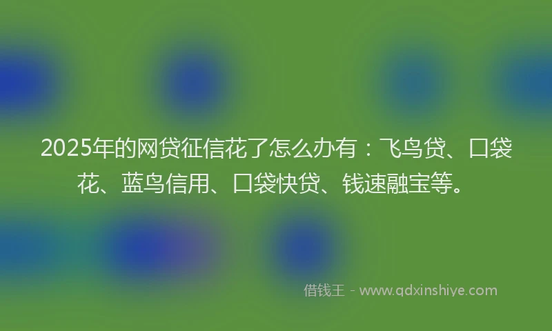 2025年的网贷征信花了怎么办有：飞鸟贷、口袋花、蓝鸟信用、口袋快贷、钱速融宝等。
