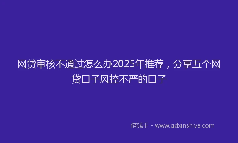网贷审核不通过怎么办2025年推荐，分享五个网贷口子风控不严的口子