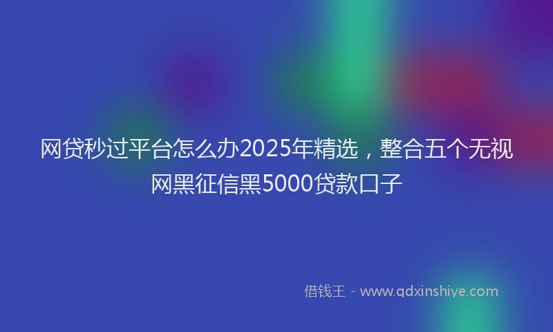 网贷秒过平台怎么办2025年精选，整合五个无视网黑征信黑5000贷款口子