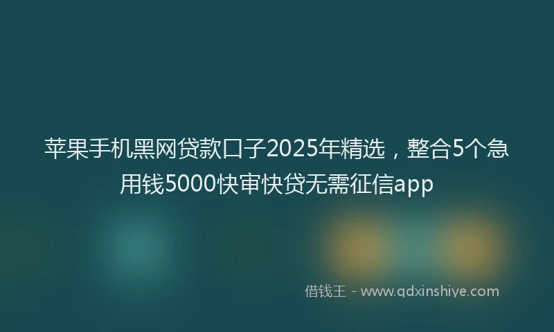 苹果手机黑网贷款口子2025年精选，整合5个急用钱5000快审快贷无需征信app